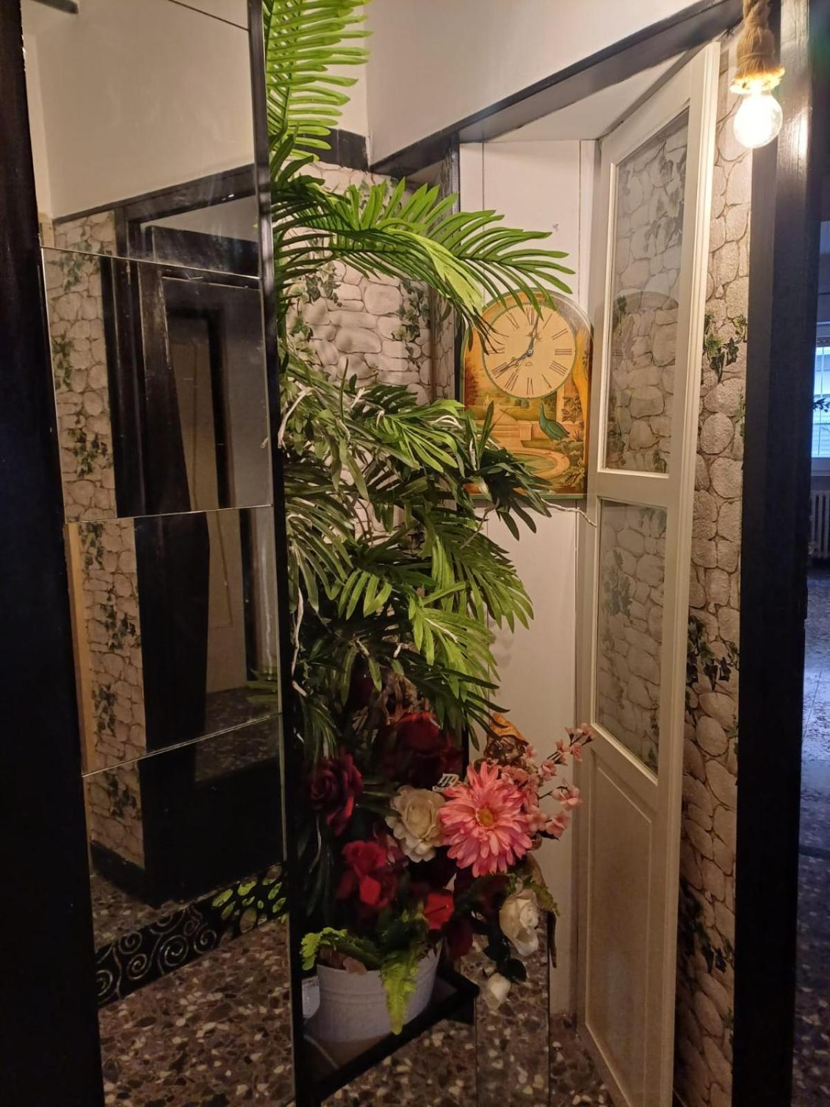 Flower تراني المظهر الخارجي الصورة