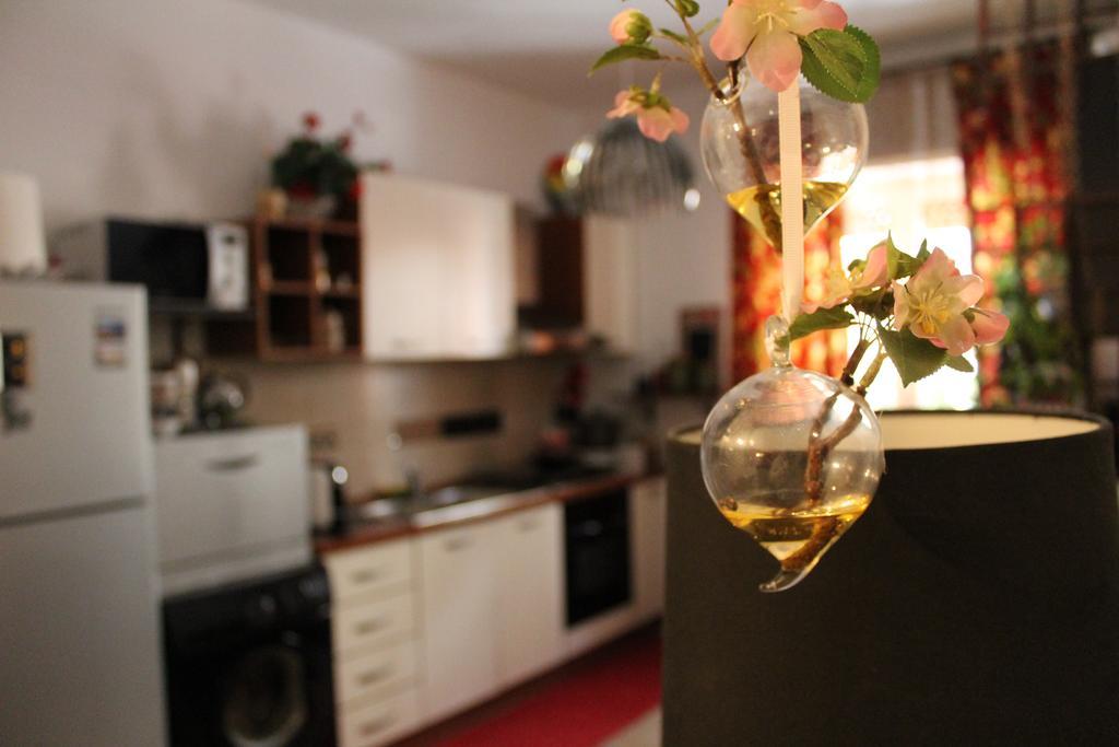 Flower تراني المظهر الخارجي الصورة